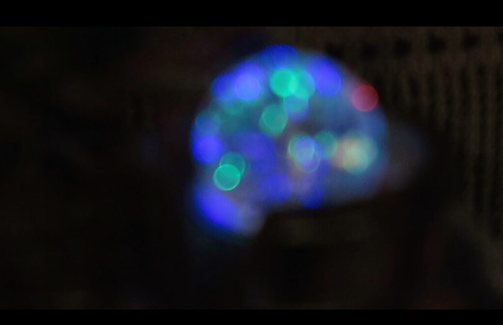 Fiammetta d'Angiolini artist, artwork, videos