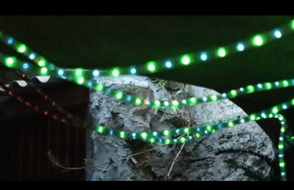 Fiammetta d'Angiolini artist, artwork, videos