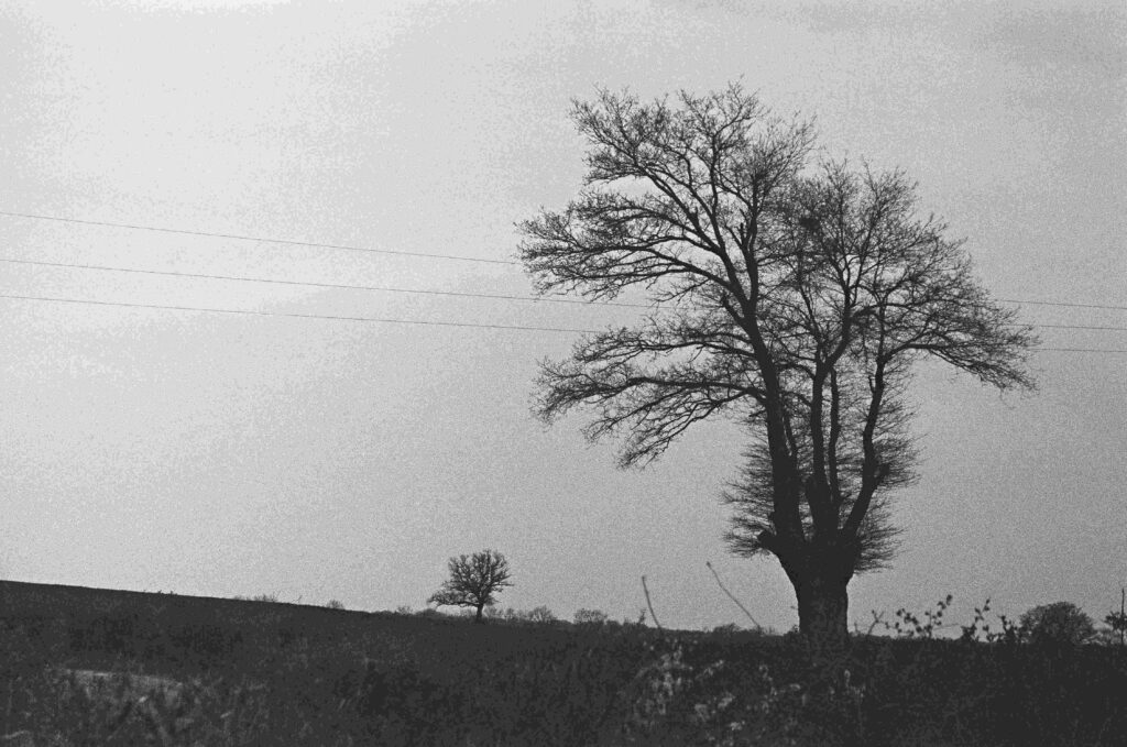 ©fiammetta d'angiolini artist, artwork, photography