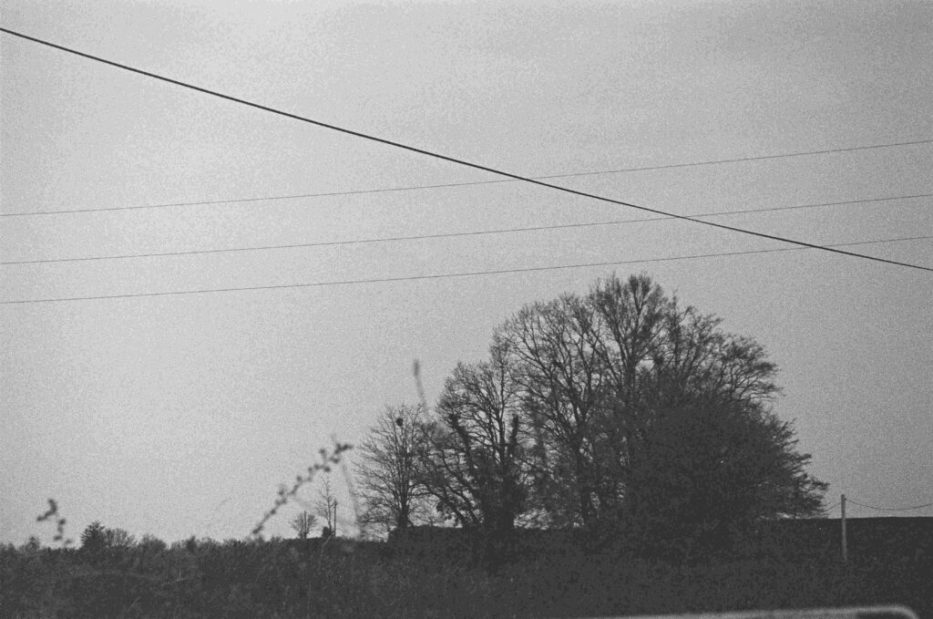 Fiammetta d'Angiolini artist, artwork, photography