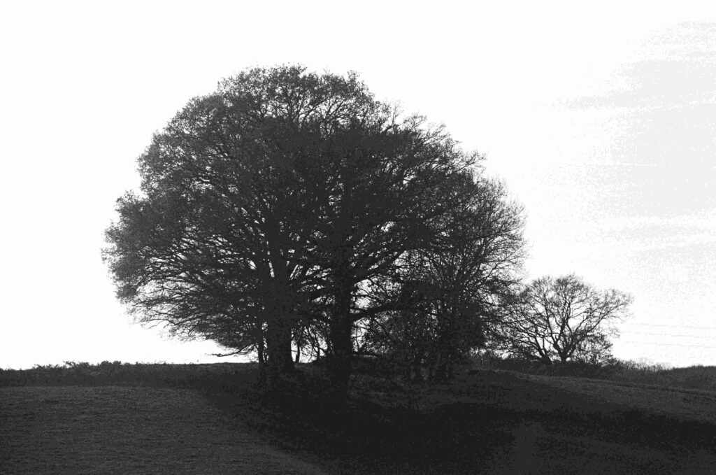 Photo13 Fiammettadangiolini.fr