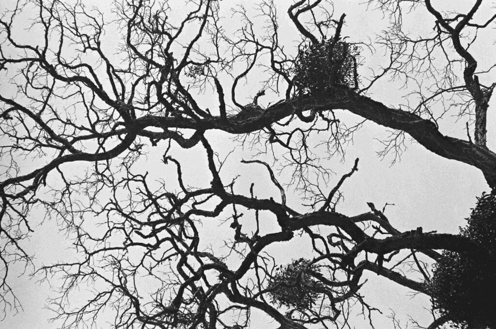 Photo14 Fiammettadangiolini.fr