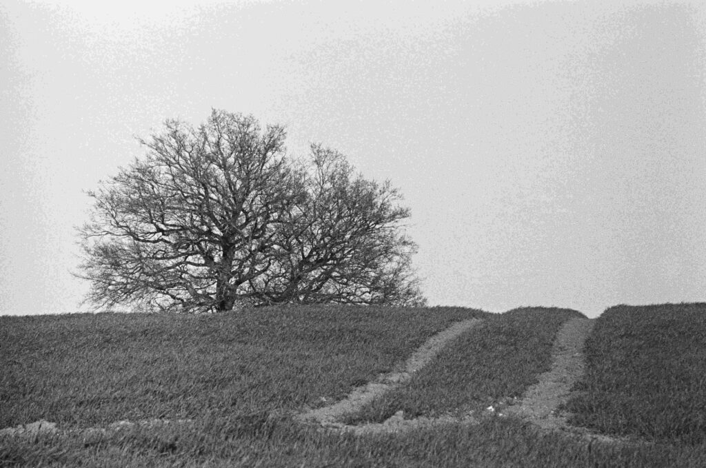 Photo16 Fiammettadangiolini.fr