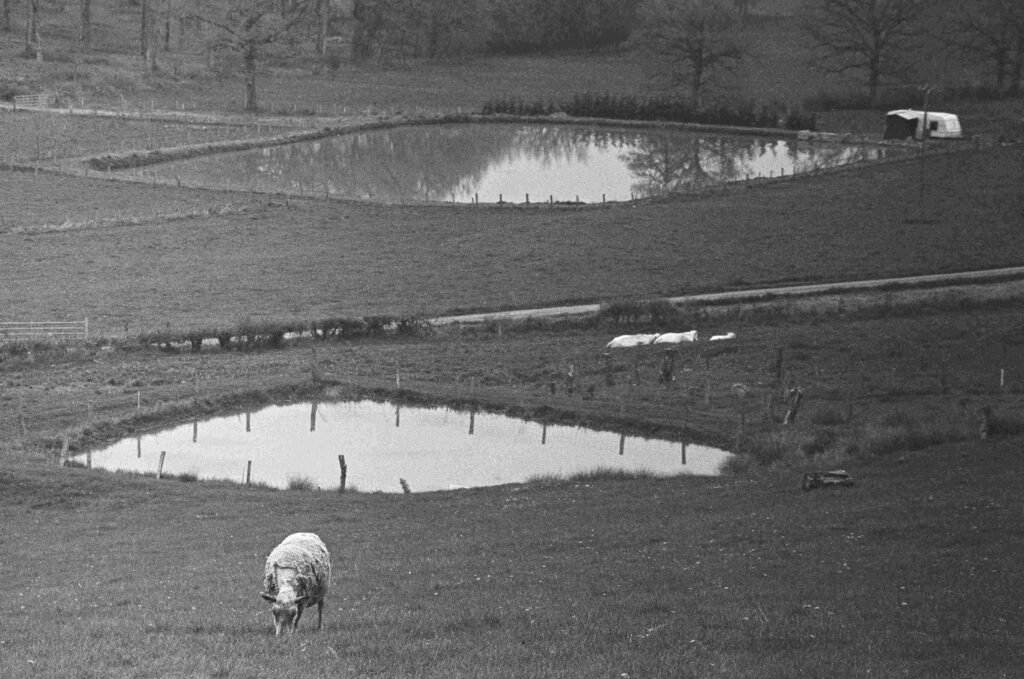 ©fiammetta d'angiolini artist, artwork, photography