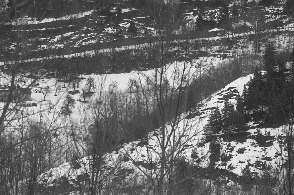 Fiammetta d'Angiolini, artist, artwork, photography