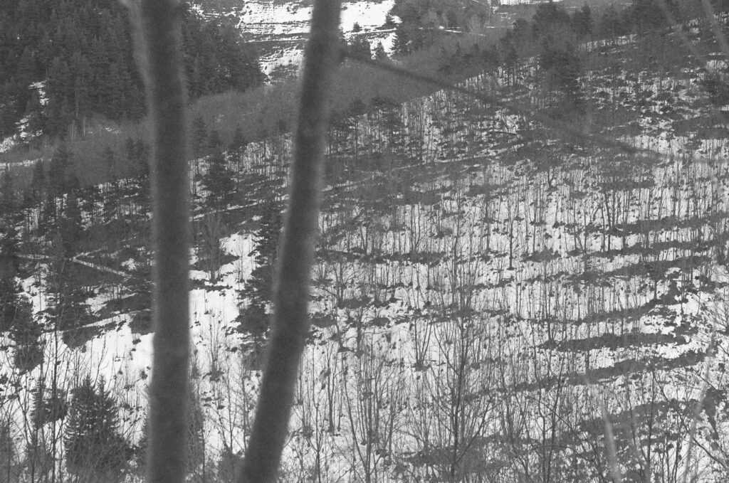 Photo21 Fiammettadangiolini.fr