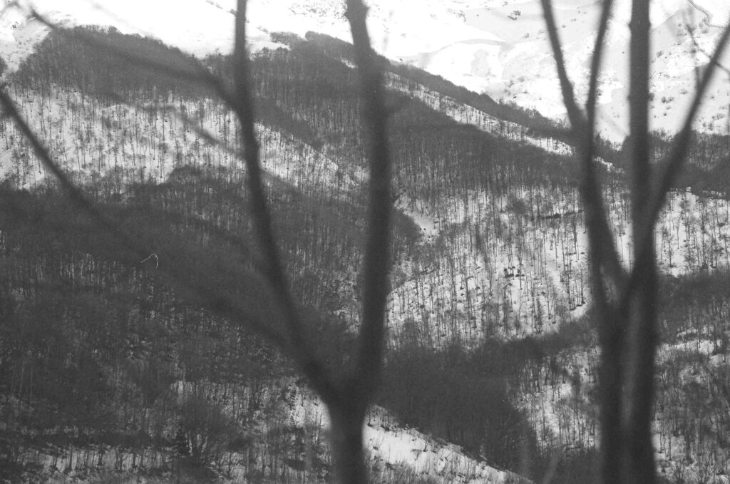 Photo23 Fiammettadangiolini.fr