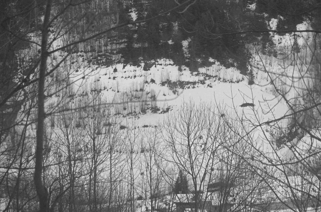 Fiammetta d'Angiolini, artist, artwork, photography