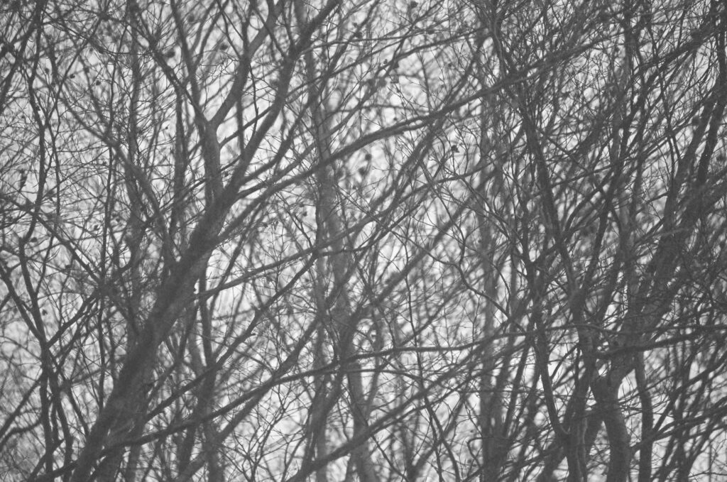 Fiammetta d'Angiolini, artist, artwork, photography