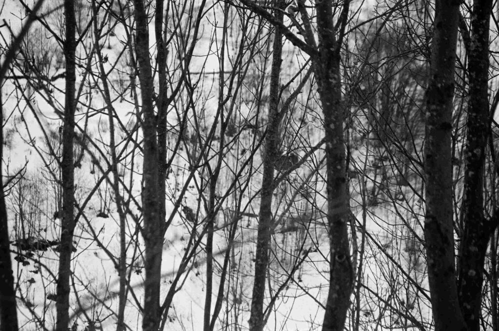 Fiammetta d'Angiolini, artist, artwork, photography