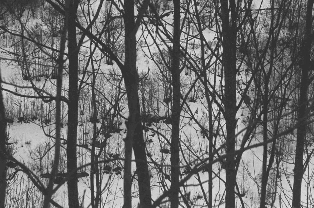 Photo28 Fiammettadangiolini.fr