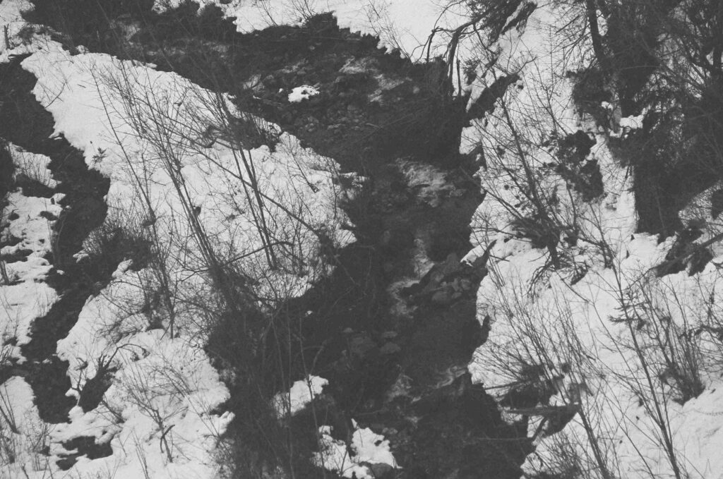 Fiammetta d'Angiolini, artist, artwork, photography