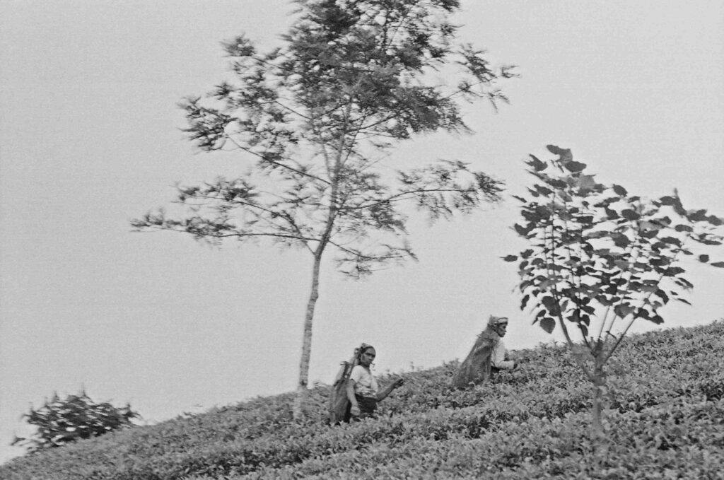 © Fiammetta d'Angiolini artist, artwork, photography