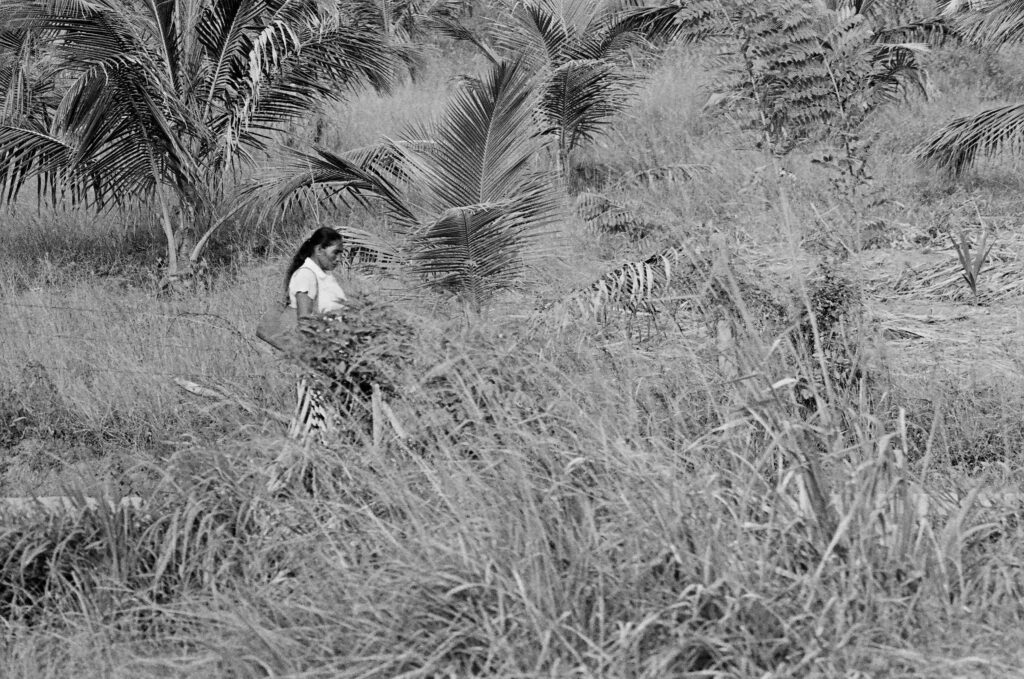 © Fiammetta d'Angiolini artist, artwork, photography