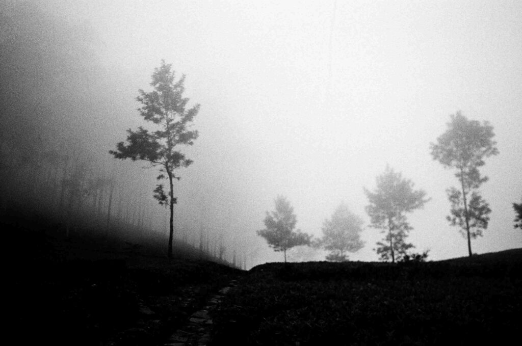 © Fiammetta d'Angiolini artist, artwork, photography