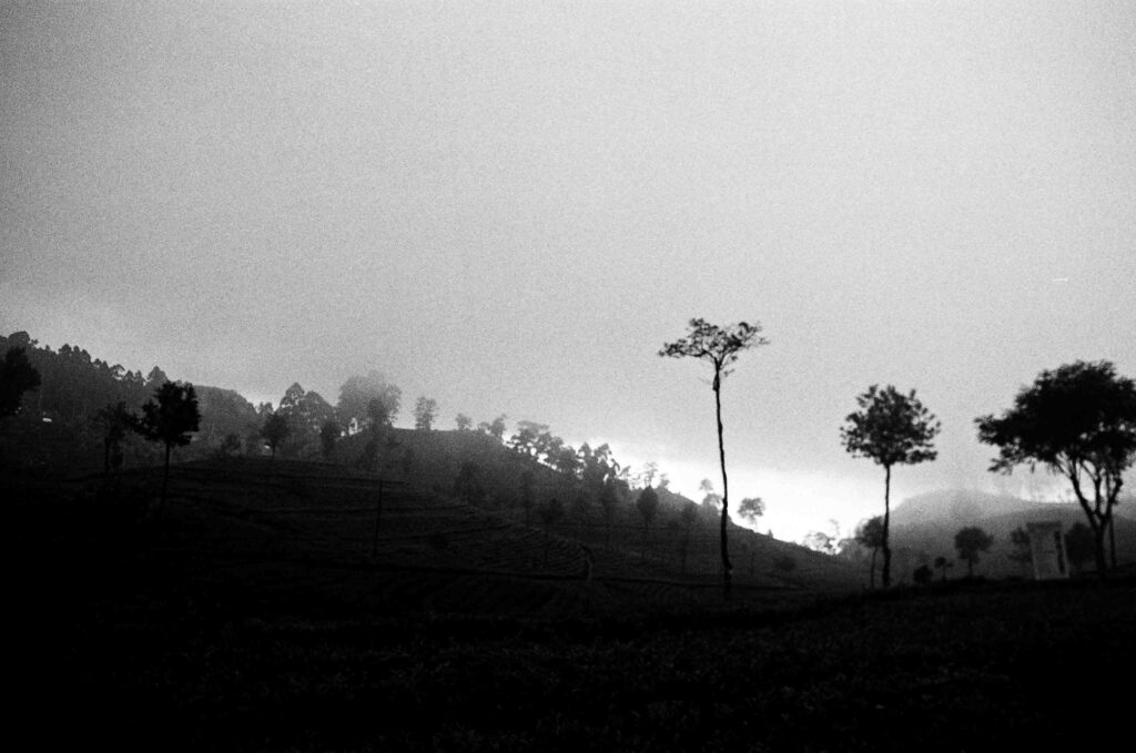 © Fiammetta d'Angiolini artist, artwork, photography