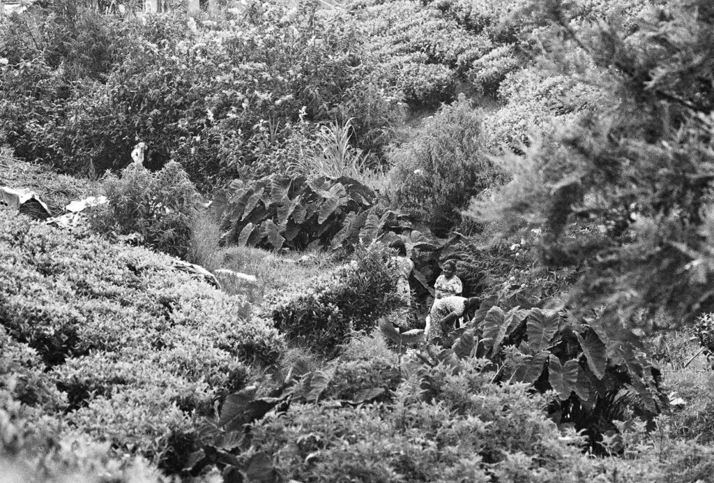 © Fiammetta d'Angiolini artist, artwork, photography