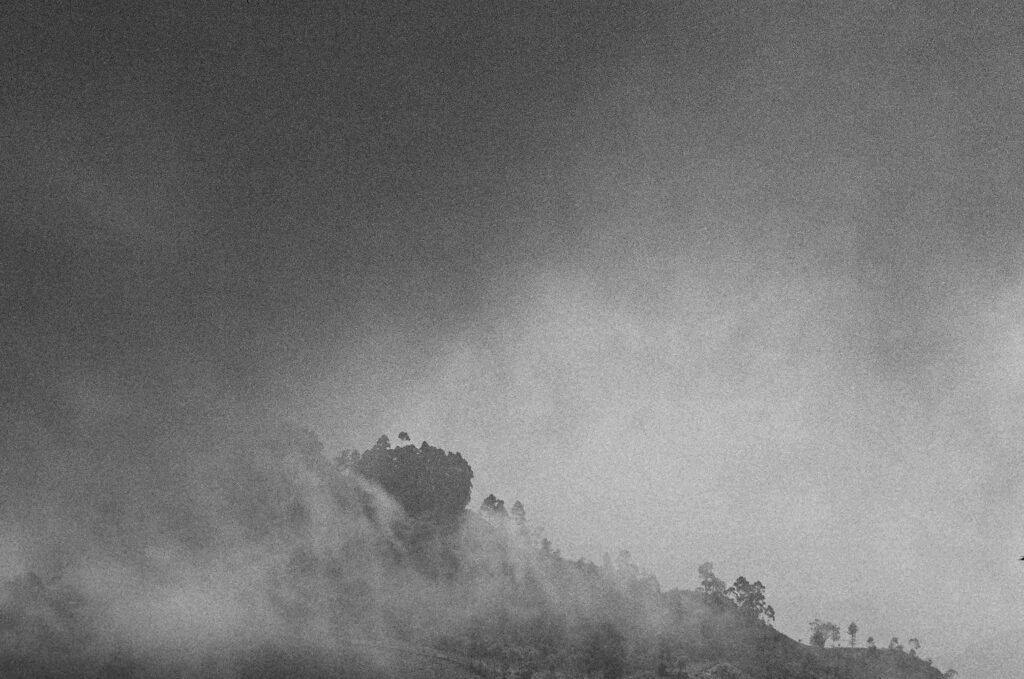 © Fiammetta d'Angiolini artist, artwork, photography