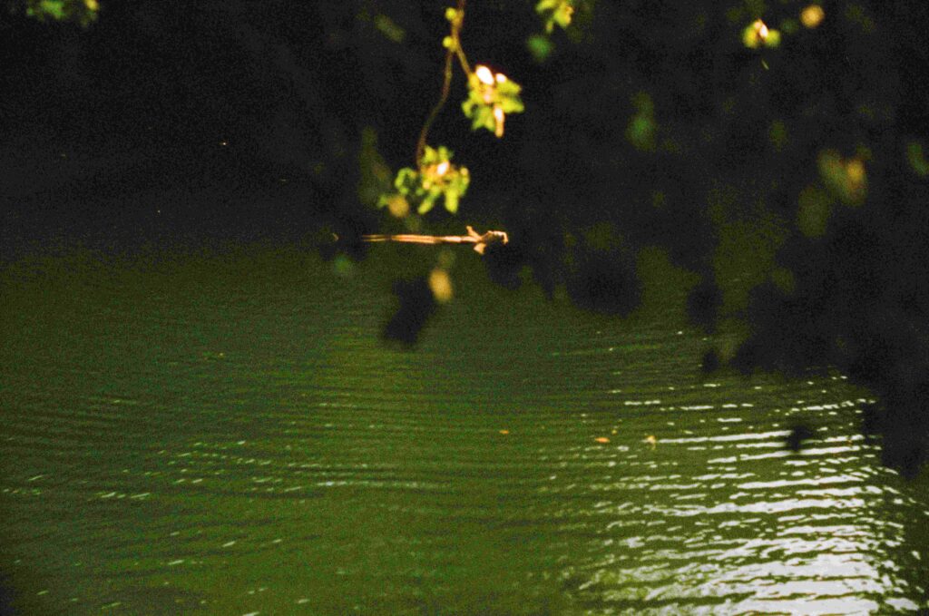 © Fiammetta d'Angiolini artist, artwork, photography