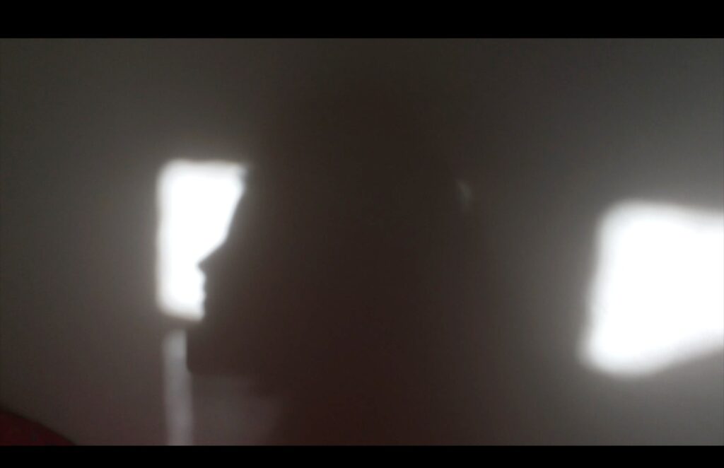 Fiammetta d'Angiolini, artist, artwork, videos