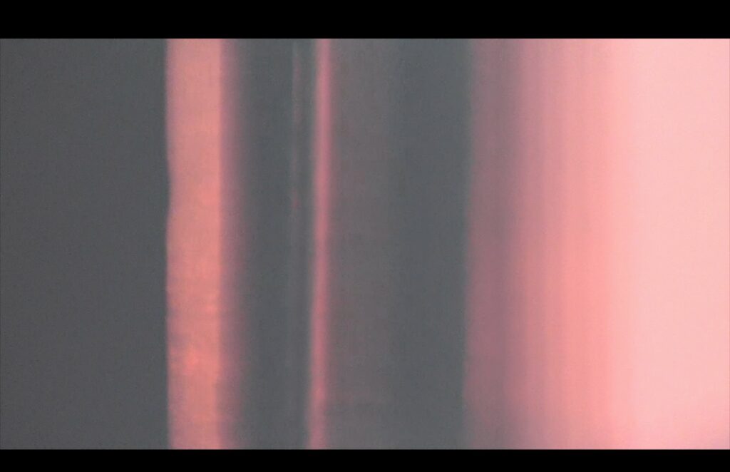 Fiammetta d'Angiolini, artist, artwork, videos