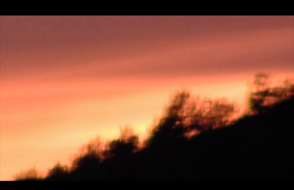 Fiammetta d'Angiolini, artist, artwork, videos