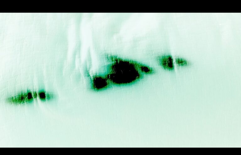 Fiammetta d'Angiolini, artist, artwork, video