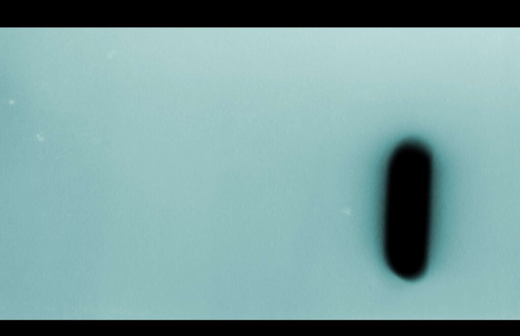 Fiammetta d'Angiolini, artist, artwork, video