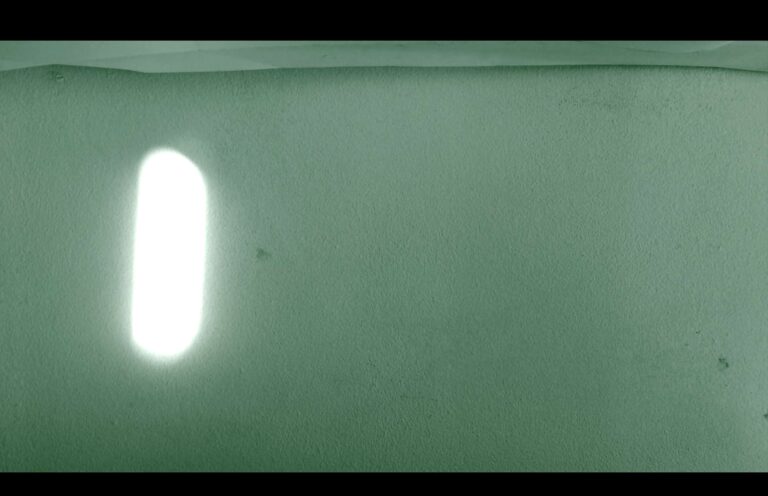 Fiammetta d'Angiolini, artist, artwork, video