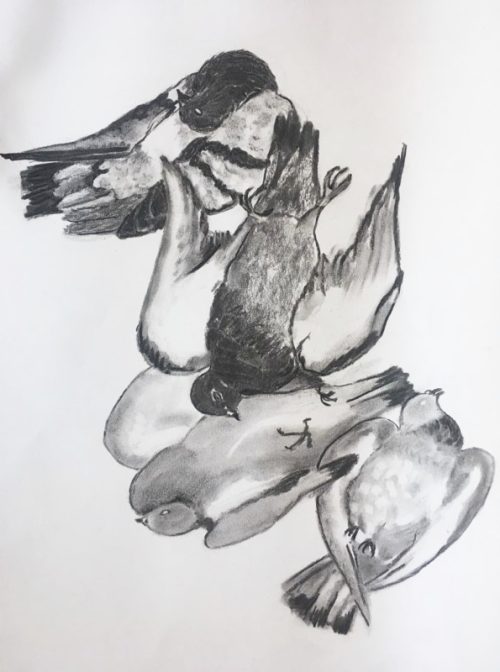 Fiammetta d'Angiolini, artist, art, drawings